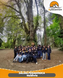 ¡Viaja con la mejor opción en turismo y crea recuerdos inolvidables con nosotros!
🌐 www.ayekantun.cl
📲 +56 9 5904 5811 // +56 9 9975 7517
📩 contacto@ayekantun.cl

#viajesdeturismos #diversion #cultura #losangeleschile