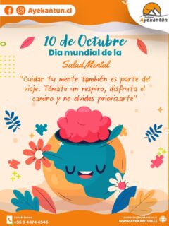 No todo es llegar a destino… también se trata de disfrutar el viaje y cuidar tu salud mental 💆🏽‍♀️🌿 #saludmental #viajandoconactitud #cuidate #ayekantun