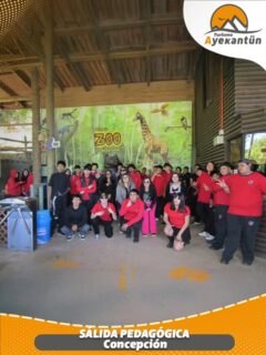 ¡Viaja con la mejor opción en turismo y crea recuerdos inolvidables con nosotros!
🌐 www.ayekantun.cl
📲 +56 9 5904 5811 // +56 9 9975 7517
📩 contacto@ayekantun.cl

#viajesdeturismos #diversion #cultura #losangeleschile